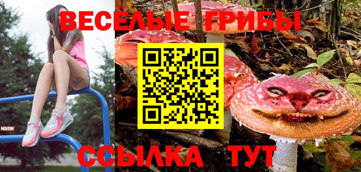 Галлюциногенные грибы GOLDEN TEACHER Фролово