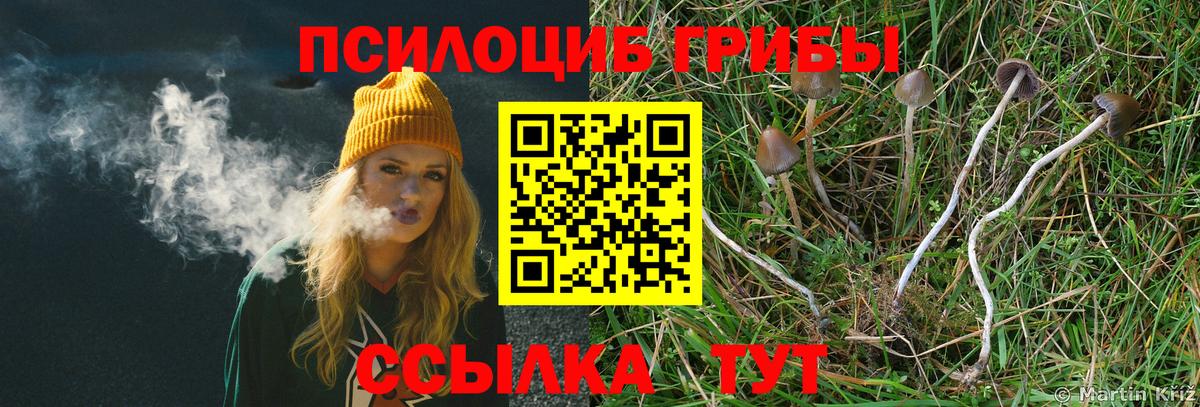 Фролово  Галлюциногенные грибы Magic Shrooms  Вход с VPN 